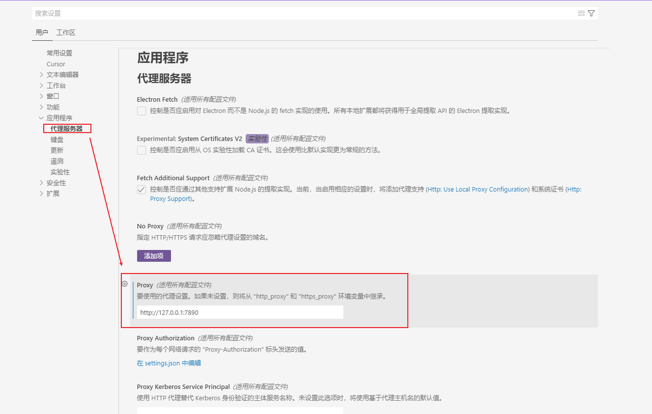 代理服务器设置
